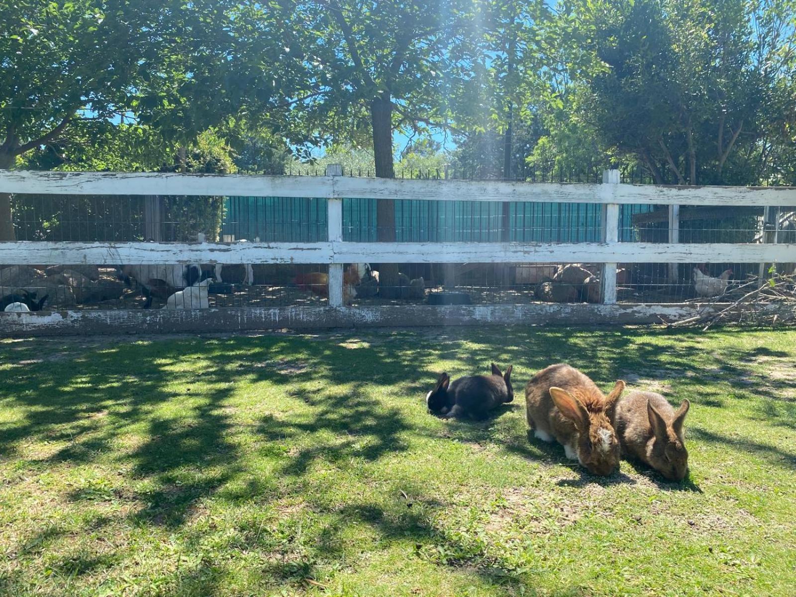 Domaine De La Sourco - Villa, Maisons & Chalet, Magnifique Havre De Paix En Provence Trans-en-Provence Luaran gambar